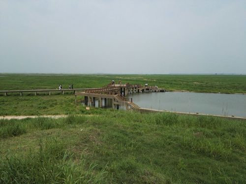 鄱阳鄱阳湖国家湿地公园好玩吗,鄱阳鄱阳湖国家湿地公园景点怎么样