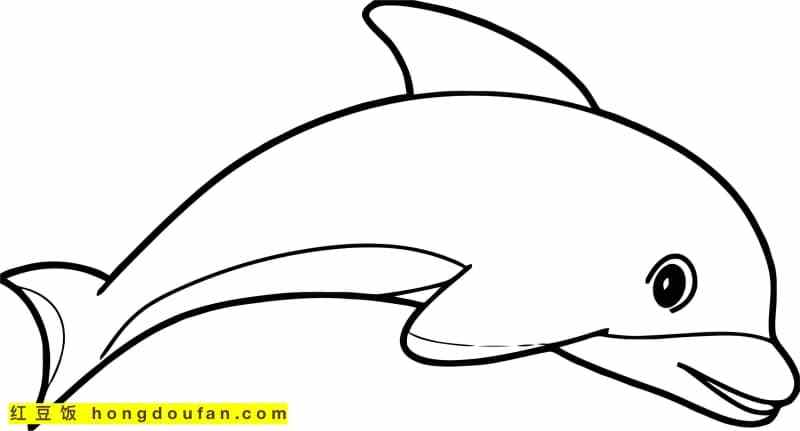 怎么画海豚 手绘