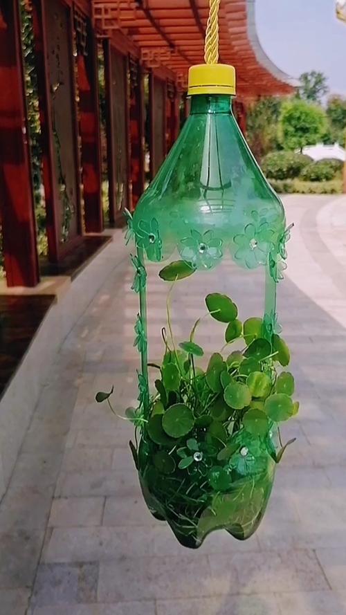 废物利用塑料瓶做吊兰花盆