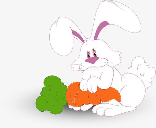 小兔子吃胡萝卜图片卡通