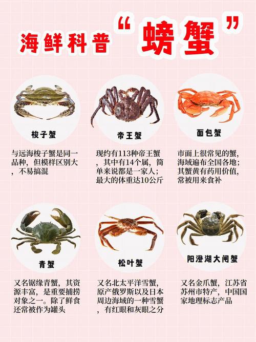 食物小知识海鲜科普第二弹关于螃蟹的种种