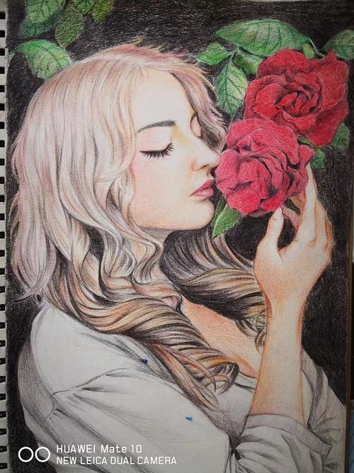 彩铅画女孩与玫瑰