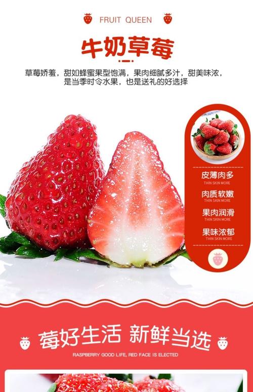 当季大凉山奶油草莓新鲜红颜草莓牛奶草莓酸草莓整箱当季水果qq500g