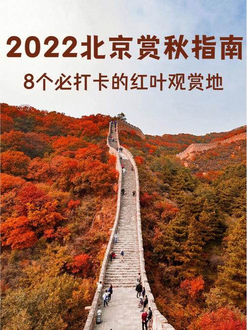 9410月至11月初,迎来北京红叶最佳观赏期,这也意味着我们又可以去漫