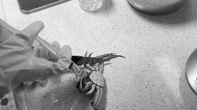 随后,记者做了螃蟹注水的实验,发现螃蟹在