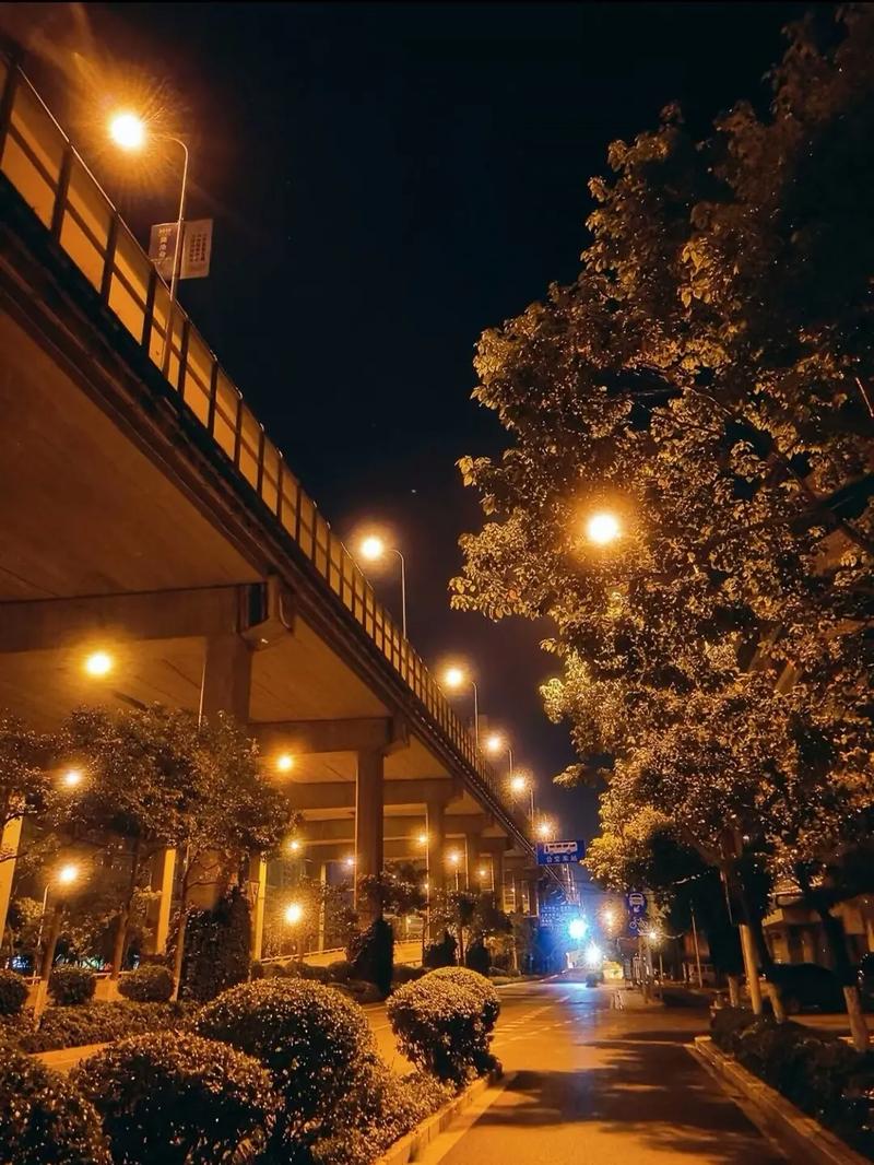 空旷的大马路 手机里的夜景 马路上暖色调的路灯 真的很治愈# - 抖音