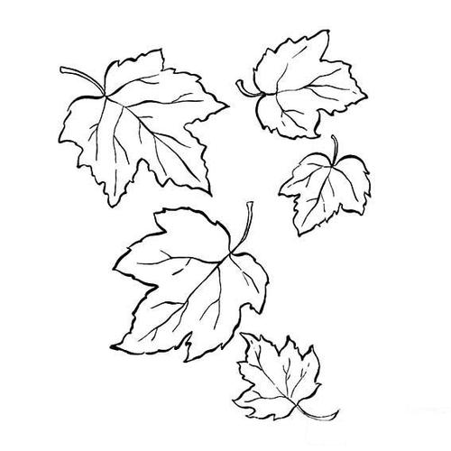 儿童简笔画落叶的简单画法,落叶怎么画,飘落的树叶简笔画图片,落叶