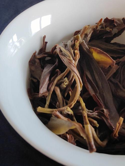 乌岽单丛是什么茶种
