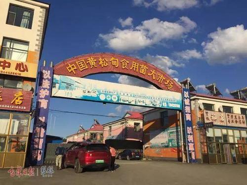 解码蛟河黄松甸:拥有两个中国地理标志证明商标的普通小镇_手机搜狐网