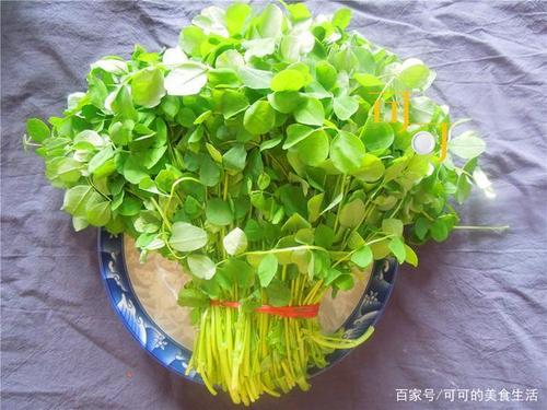 上海人最爱的酒香草头,一年只有这个月才能吃到,怎能不尝尝鲜