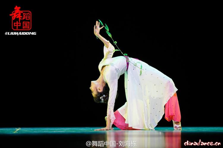 第九届中国舞蹈荷花奖北京师范大学女子古典独舞游园惊梦高清图