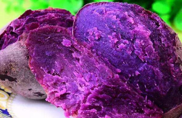 紫薯怎么保存