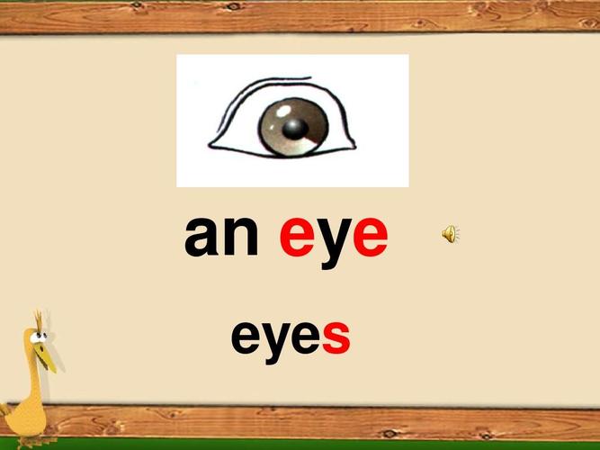 an eye eyes