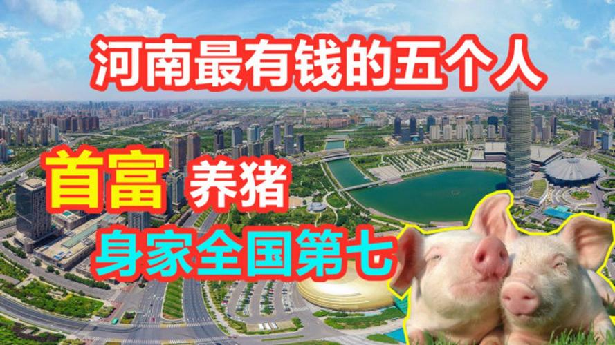 河南省有多少个大养猪公司