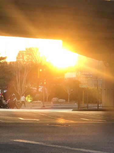早晨8点升起的太阳图片城市