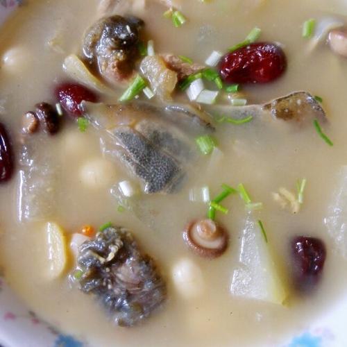 白若薇做的清炖野生甲鱼汤