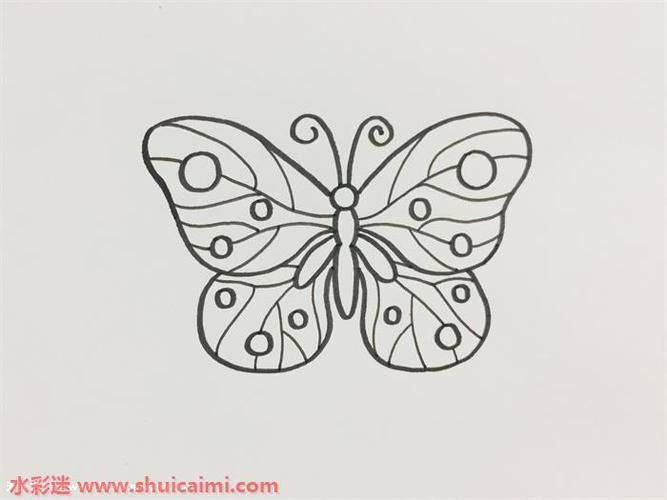 教你怎样画漂亮的蝴蝶
