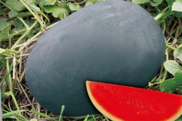 世界十大顶级水果:黑皮西瓜上榜,它的价格最高
