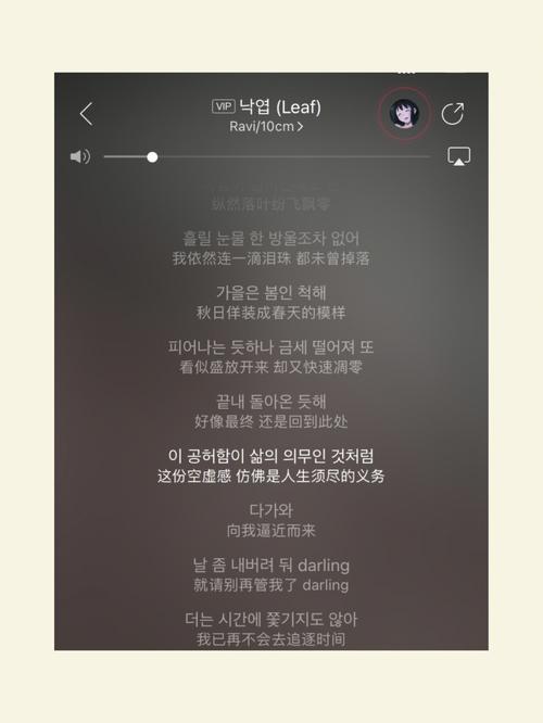 韩语抒情歌单分享一