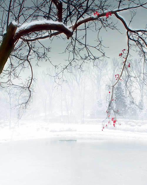 灰暗中制造淡雅意境——雪景照片的ps美化处理教程