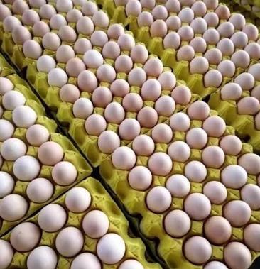 [鸡蛋批发]鸡蛋价格183.00元/件 - 一亩田