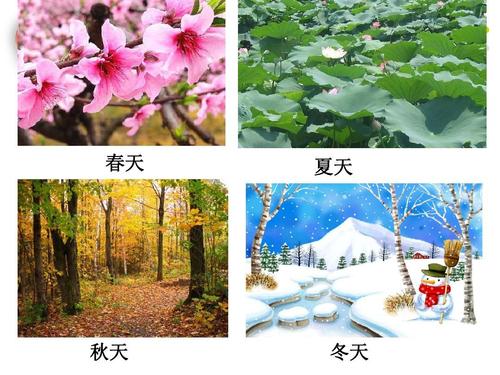 春天夏天秋天冬天季节用英语怎么读