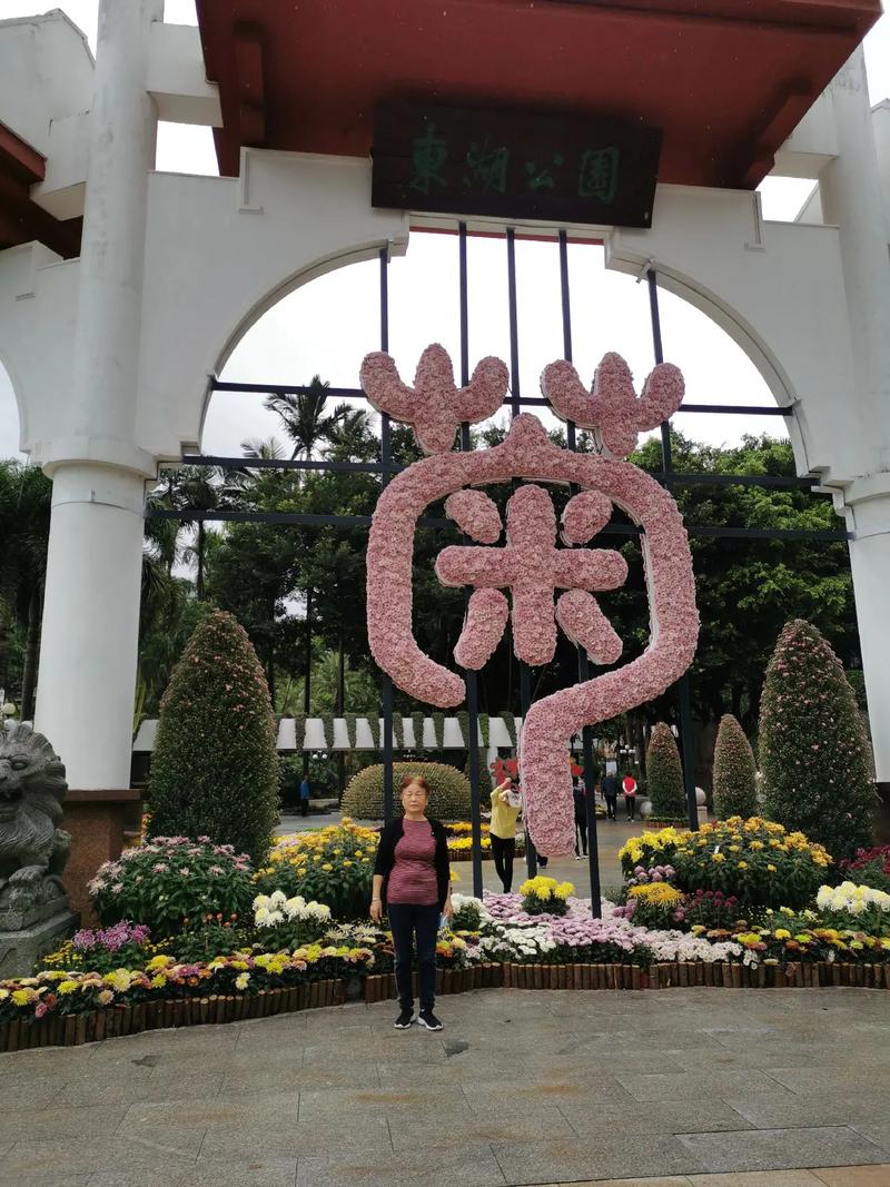 深圳东湖公园2202年菊花展,老朽在1124感恩节这一天怀着 - 抖音