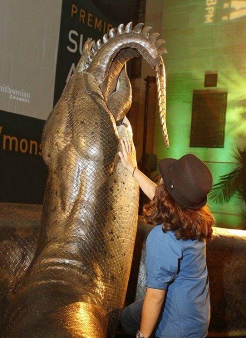 地球史上最大的蛇塞雷洪泰坦蟒长达15米天下无敌2