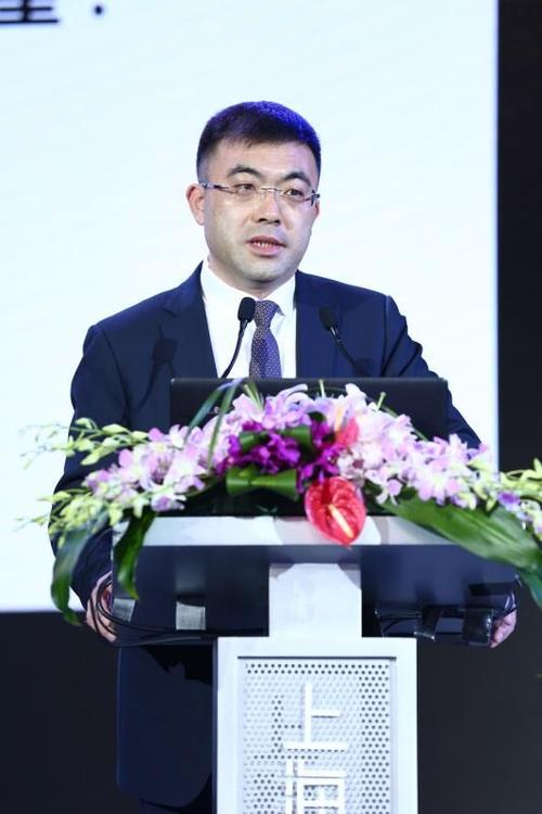 国家对外文化贸易基地副董事长,上海自贸区国际文化投资发展有限公司