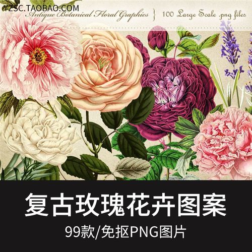 手绘复古水彩玫瑰花卉植物插画剪贴画免抠png图案 包装印花素材