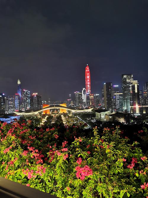 深圳夜景照片大全高清图片