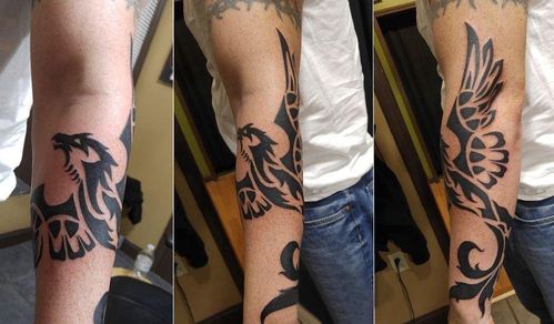 纹身凤凰男生手臂上简单线条纹身凤凰图案