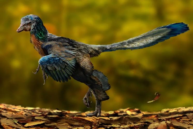 鸟类是恐龙的后代你确定吗