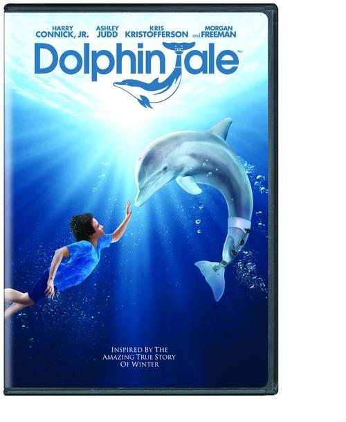 dolphin.tale 海豚的故事/一只海豚的传说