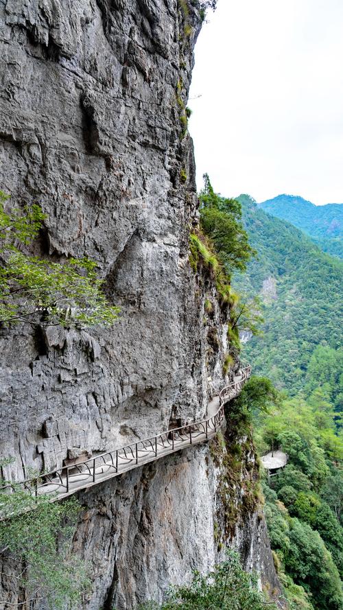 游客称太美了中国唯一的鸳鸯鸟保护区竟藏在福建这座小县城