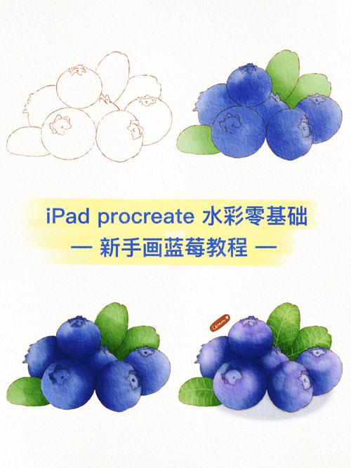 ipad水彩零基础小白入门画蓝莓教程含步骤