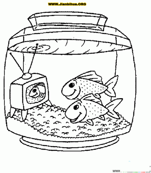 幼儿鱼缸简笔画图片