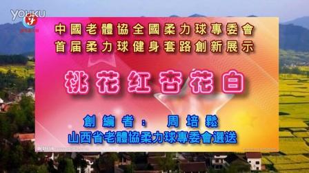 中国老体协首届全国柔力球健身套路创新展示《桃花红杏花白》