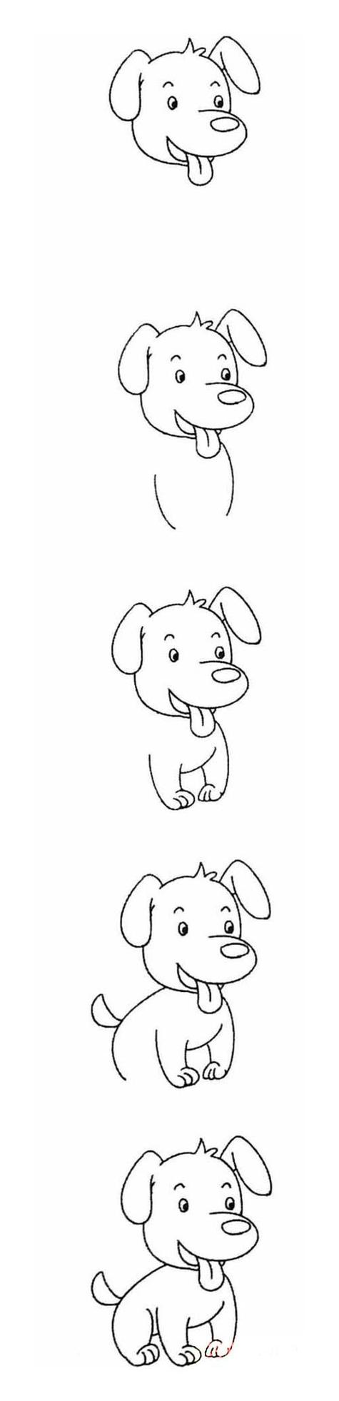 小狗简画过程图