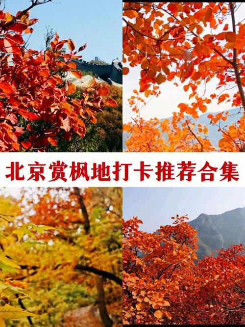 北京赏红叶胜地看满山遍野层林尽染