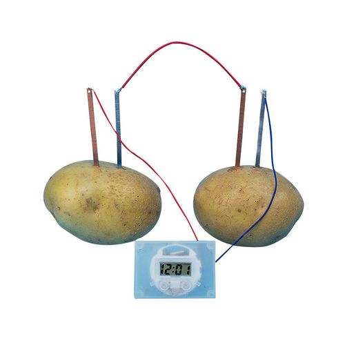 实验电池手工土豆发电趣味钟表水果
