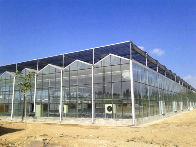 连栋玻璃温室-青州市奥斯特温室工程有限公司