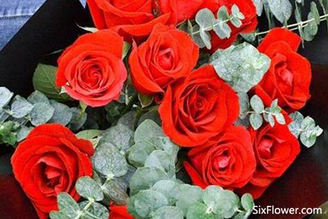 10朵红玫瑰的花语是什么10朵红玫瑰代表什么意思