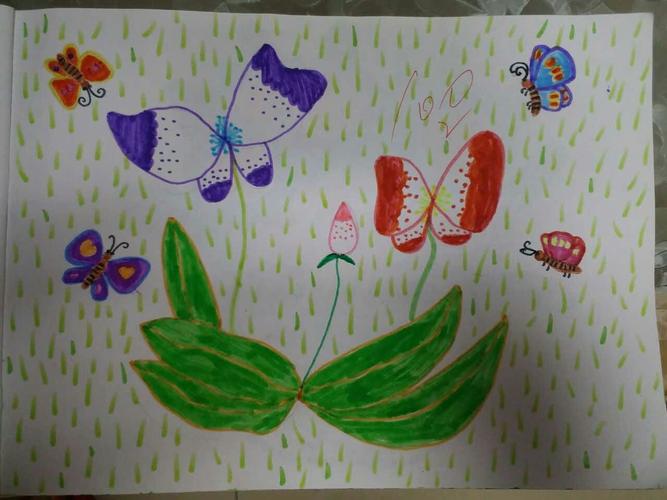 创意美丽的蝴蝶花