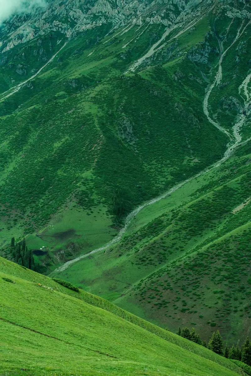 新疆大草原绿色护眼壁纸.#蓝天白云绿草地这风景太美了 #聆听 - 抖音
