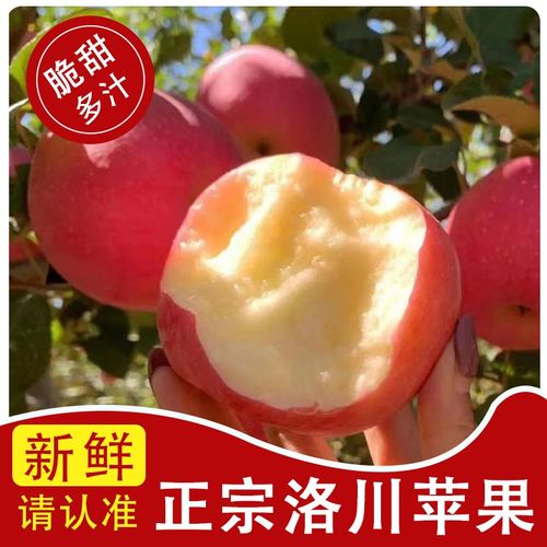 苹果水果新鲜水果当季陕西洛川正宗红富士脆甜5斤带箱包邮