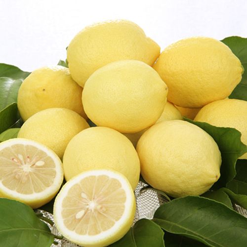 安岳新鲜黄柠檬优质中果现摘现发独立包装500g包邮皮薄多汁