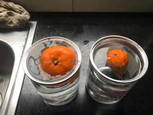 橘子浮于水面