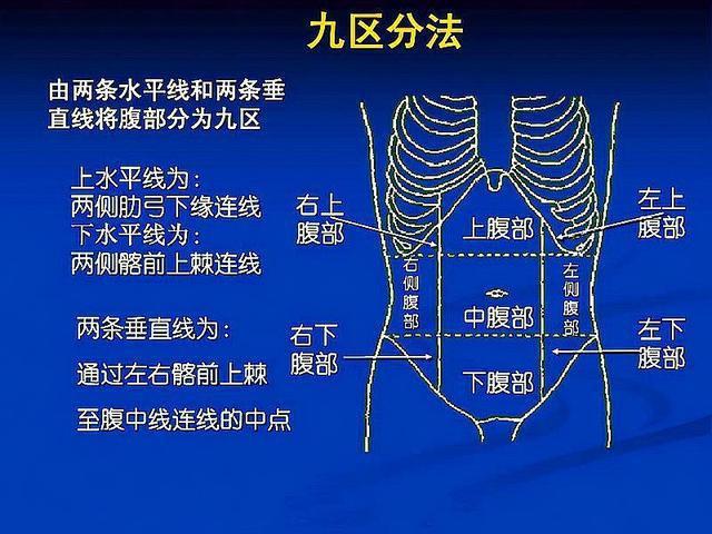 说明胃出问题了,2,中上腹部这个位置有部分小肠,胰腺,十二指肠,这些都