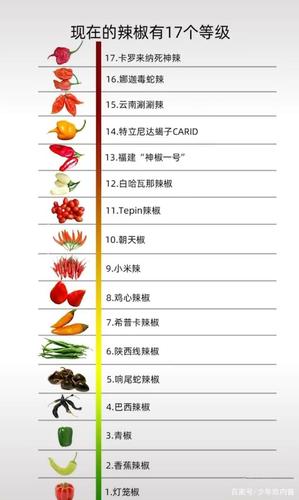 中国最能吃辣的省份